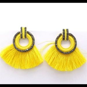 Beautiful pave tassel earring